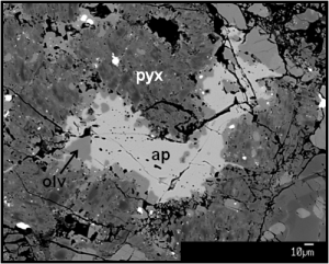 This grain of apatite, from the chondrite meteorite Bo Xian, is one of the first grains of apatite in the solar system. It grew from fluids that circulated on an asteroid which was mildly heated from radioactive decay. Ap = apatite, pyx = pyroxene, olv = olivine. This electron microscope image (back scatter) is about half a millimeter across. [Image credit: Rhian Jones, University of Manchester]